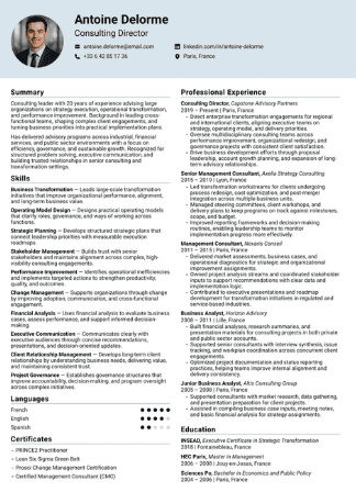 Confident Grid template preview