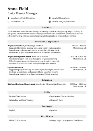 Silver Banner template preview